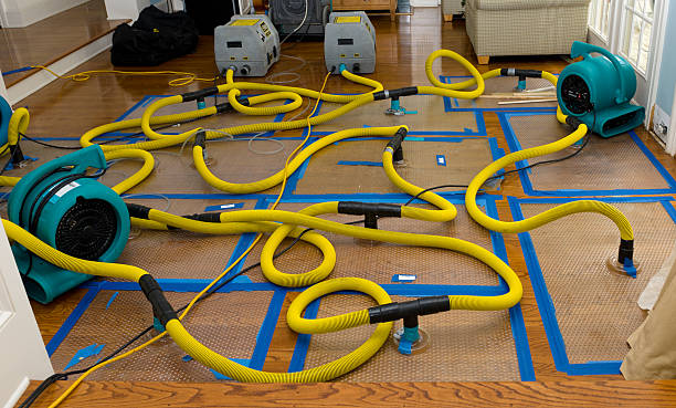 Professional Burst Pipe Water Damage technician working in Andover, OH